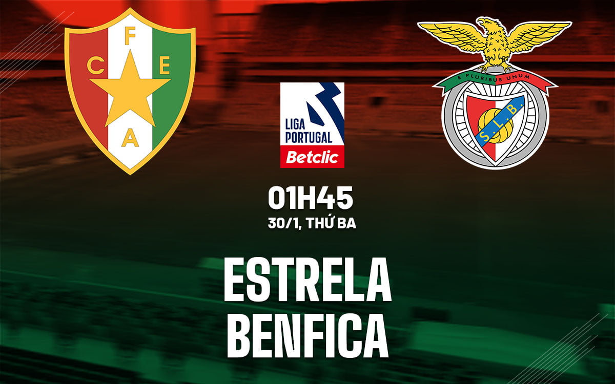 Dự đoán bóng đá Estrela vs Benfica vdqg hôm nay