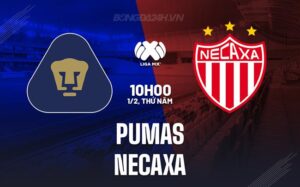 Nhận định Pumas vs Necaxa 10h00 ngày 1/2 (Giải vô địch quốc gia Mexico 2023/24)