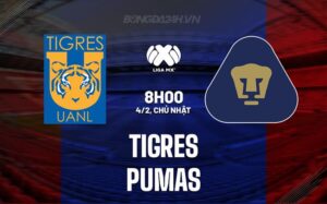 Bình luận bóng đá Tigres vs Pumas 8h00 ngày 4/2 (Giải vô địch quốc gia Mexico 2023/24)