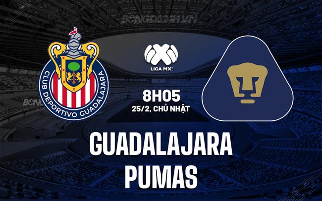 Bình luận bóng đá Guadalajara vs Pumas 8h05 ngày 25/2 (Giải vô địch quốc gia Mexico 2023/24)