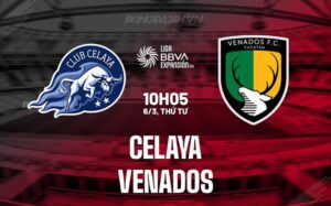 Bình luận Celaya vs Venados, 10h05 ngày 6/3 (hạng 2 Mexico 2023/24)