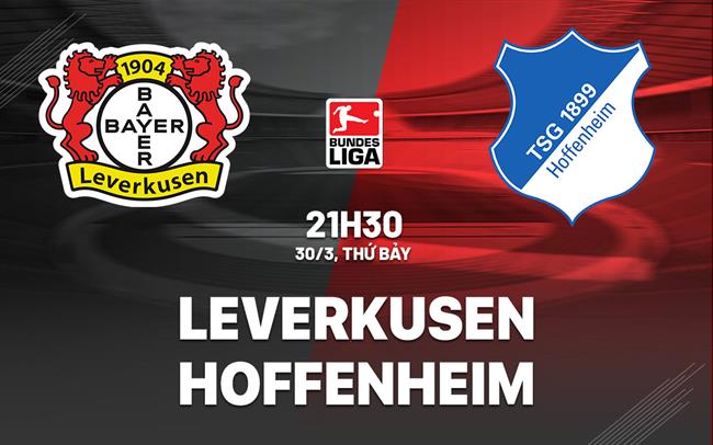 Bình luận bóng đá Leverkusen vs Hoffenheim 21h30 ngày 30/3 (Bundesliga 2023/24)