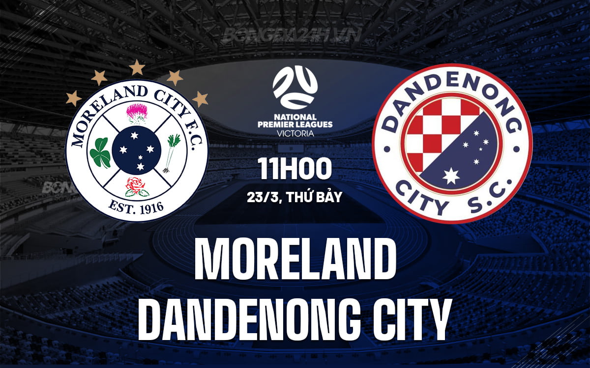 Moreland vs Dandenong City